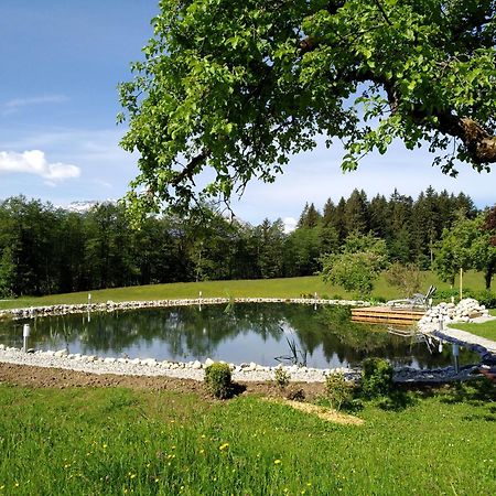 Spulhof Lägenhet Abtenau Exteriör bild