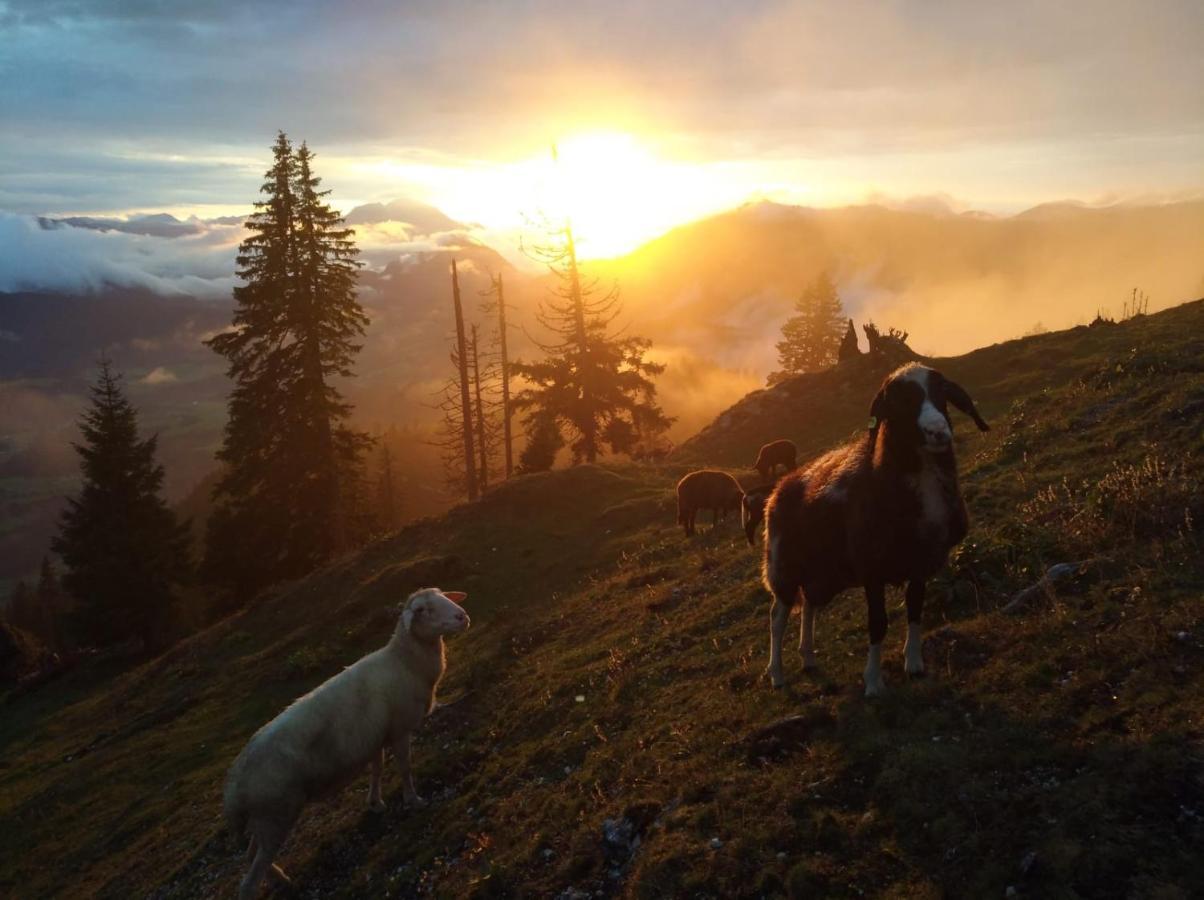 Spulhof Lägenhet Abtenau Exteriör bild