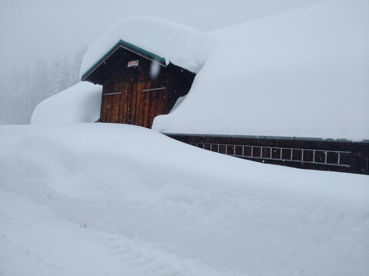Spulhof Lägenhet Abtenau Exteriör bild