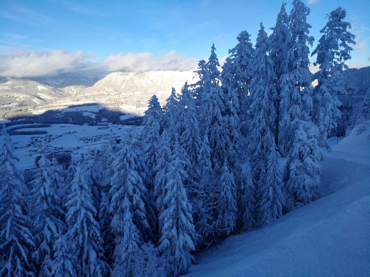 Spulhof Lägenhet Abtenau Exteriör bild
