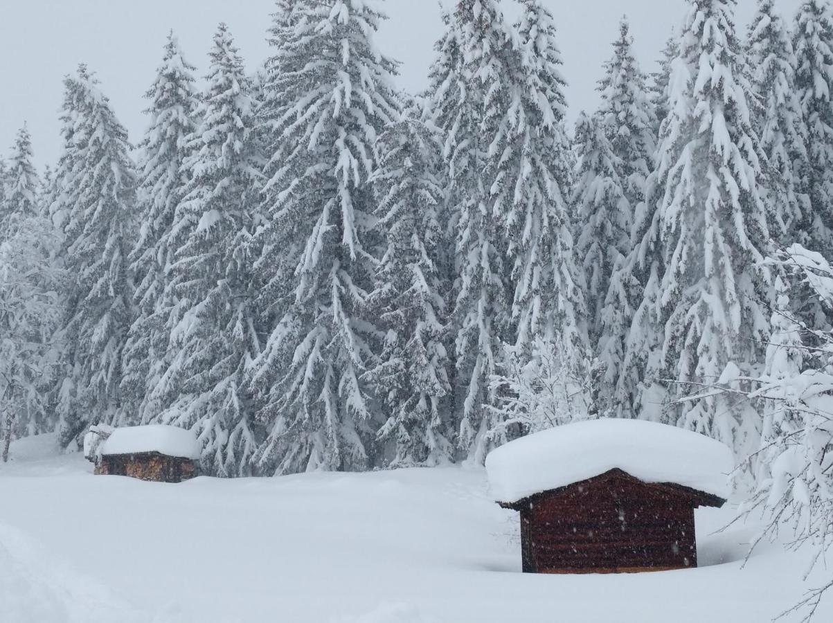 Spulhof Lägenhet Abtenau Exteriör bild